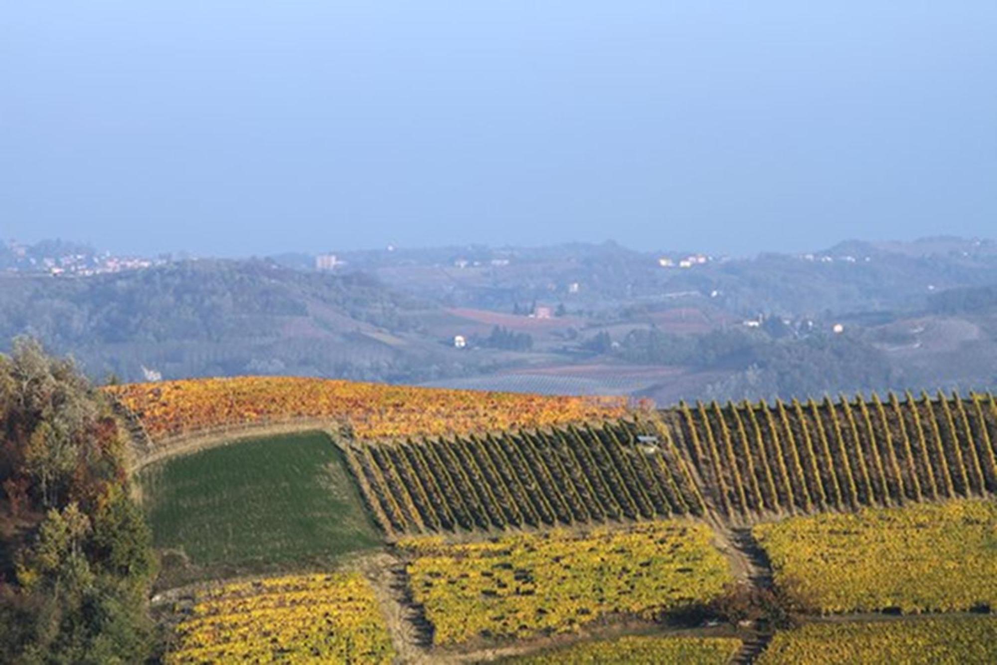 Cascina Marcantonio 아키테르메 외부 사진